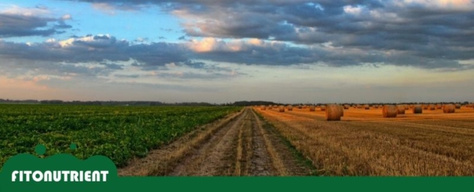 historia de los fertilizantes destacada blog