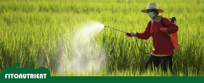 fin exportacion plaguicidas prohibidos