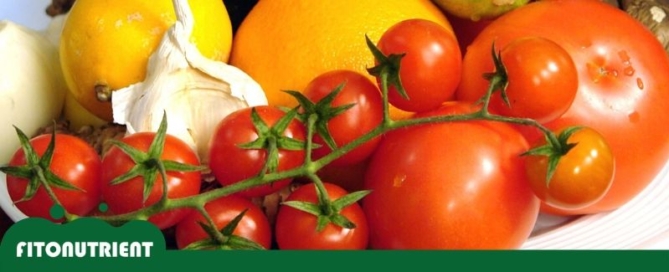 imagen-destacada-fitonutrient-blog-frutas-800x325